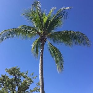 NEW ITEMS LISTED 😱 🛍. Air Jordan, Sonos speaker, Coach,Talbots Great discount